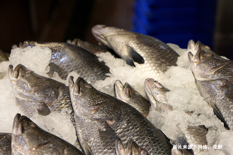 巴布亞新幾內(nèi)亞到廣州鱸魚進(jìn)口報關(guān)流程冷凍魚案例