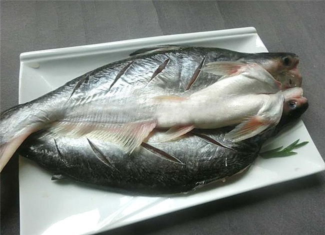 冷凍巴沙魚進(jìn)口報關(guān)